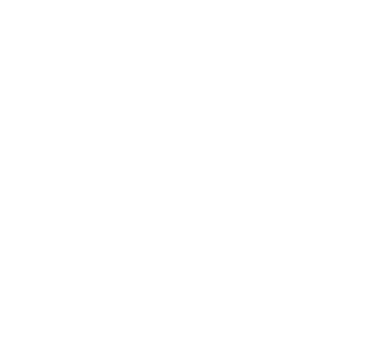 g1